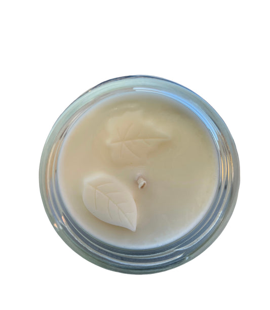 Fall & Winter All Natural Soy Wax Candles